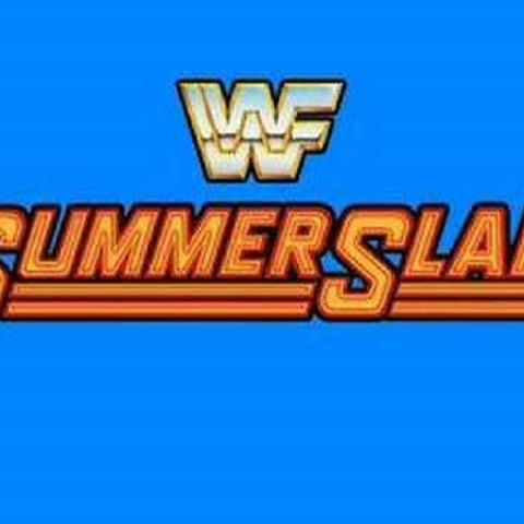 ENTHUSIATIC REVIEWS #220: WWF SummerSlam 1991 Watch-Along