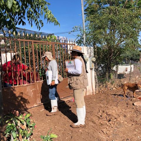 Rehabilitan pozos de agua y servicio eléctrico en Comundú