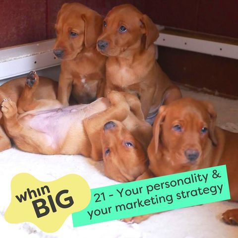 21 - Find marketing strategies for your personality