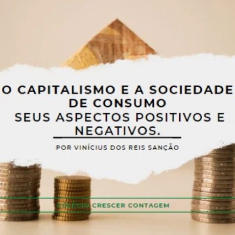 O Capitalismo E A Sociedade De Consumo Seus Aspectos Positivos E Negativos - Por Vinícius Dos Reis Sanção