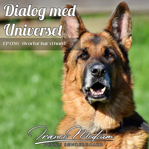 Dialog med Universet EP036 -  Hvorfor har vi hund?