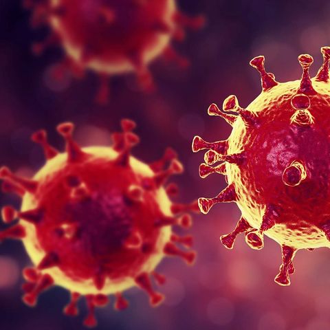 The Reality of the CoronaVirus Pandemic