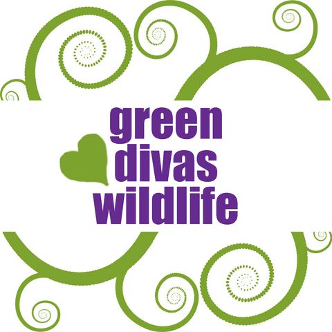 GDs Heart Wildlife: Take Action
