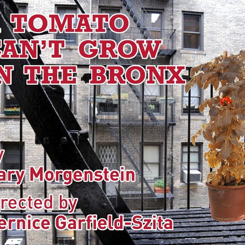 A Tomato Can't Grow In The Bronx (writer,cast and director)