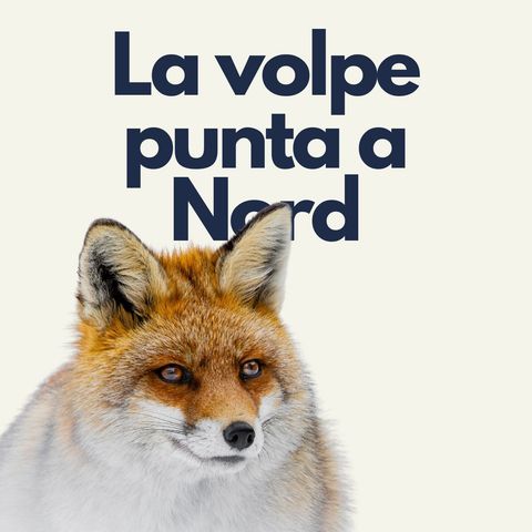 200 - Echi naturali: la volpe punta a Nord | Francesca Mor