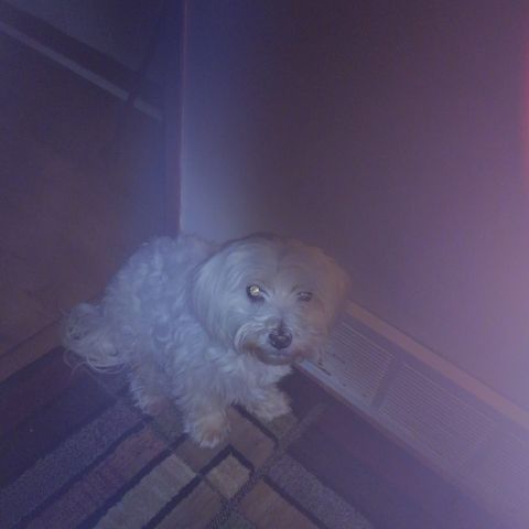 Minnie, Ecclesiates 3:21