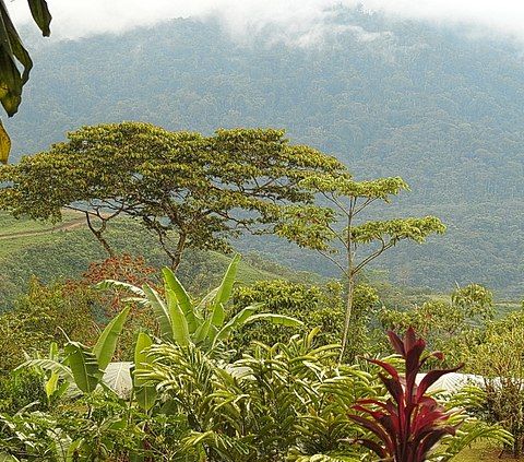 Operazione Recsoil il Costa Rica incentiva la qualità dei terreni