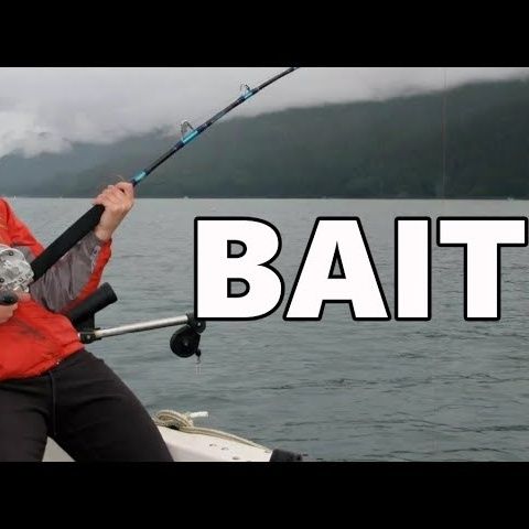 Son, this is bait | HBR Talk 386
