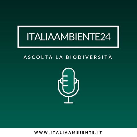 Italiaambiente 24 | il GR di mercoledì 17 ottobre