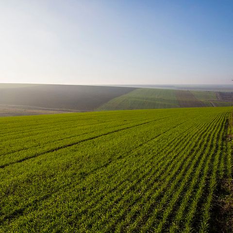 UE la neutralità climatica passa dal suolo (e dal compost)