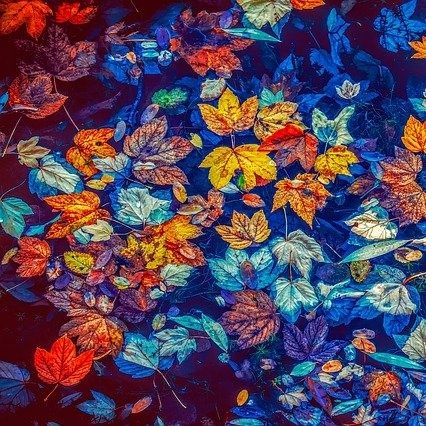 Die Laubkleider | Herbstgeschichten