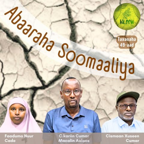 49. Abaaraha Soomaaliya