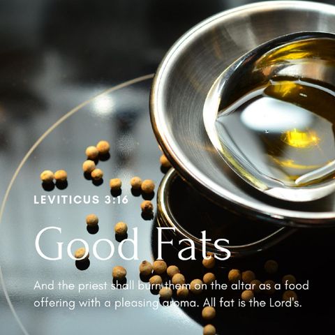 Good Fats Nutrition