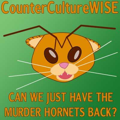 2020-08-02 Can we have the murder hornets back?