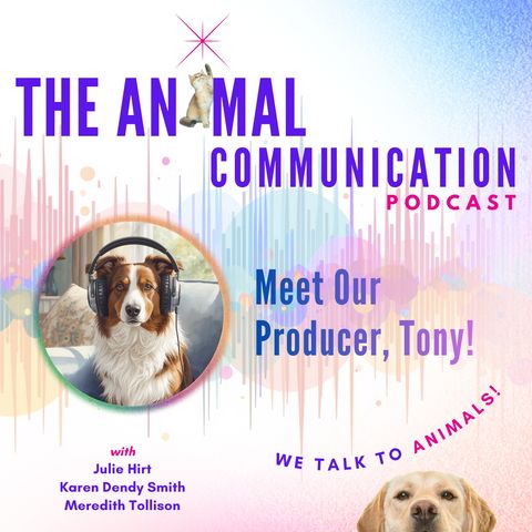 Meet Our Producer - Tony!