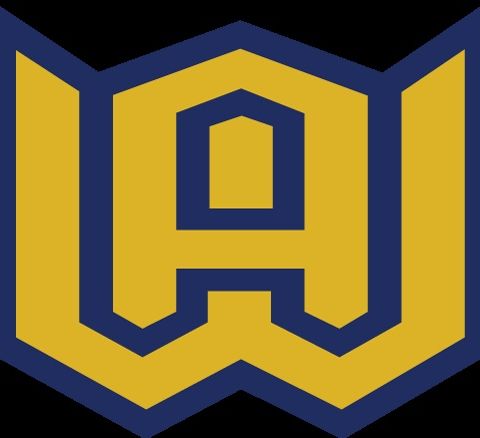 11/12/20 The Woodstock Academy volleyball vs. Windham
