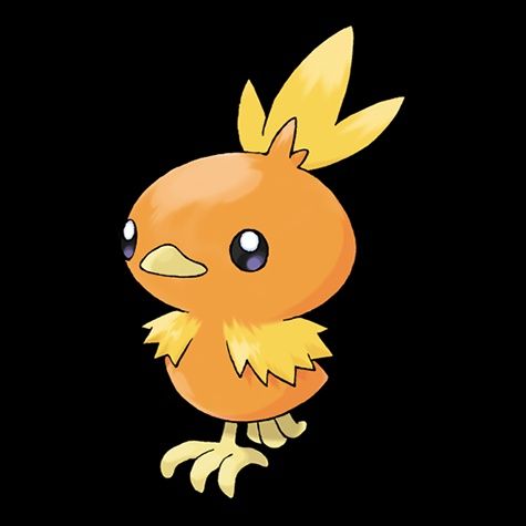 #255 Torchic