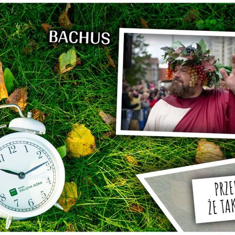 Bachus