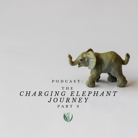 Charging Elephant, A Fresh Start, Get your Head in the Game for 2019