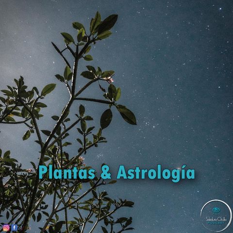 Plantas & Astrología
