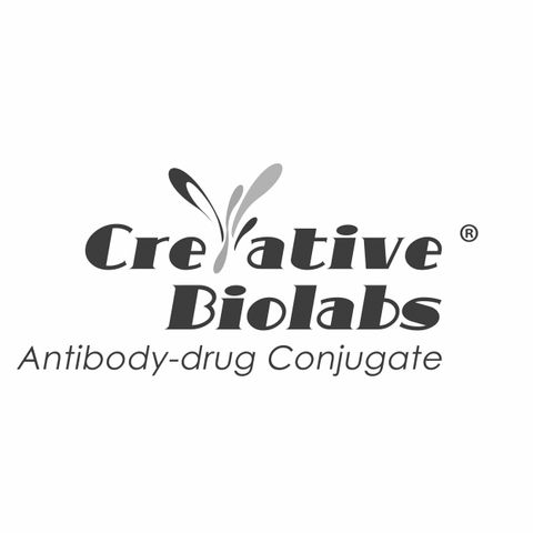 antibody-drug conjugates