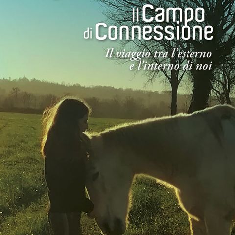 Giorgia Gambini "Il campo di connessione"