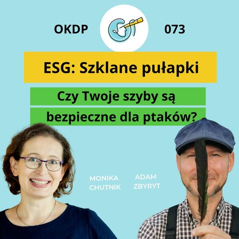 OKDP 073: ESG: Szklane pułapki. Czy Twoje szyby są bezpieczne dla ptaków?