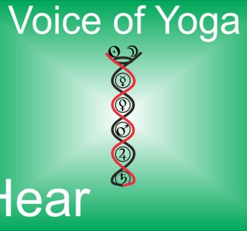 Understanding the Middle Path