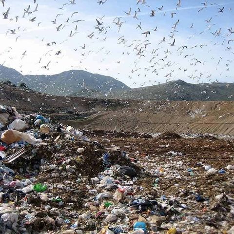 #706 Giovani per l'Europa e giovanissimi con disturbi alimentari, l'effetto Giubileo e l'eredità di Malagrotta