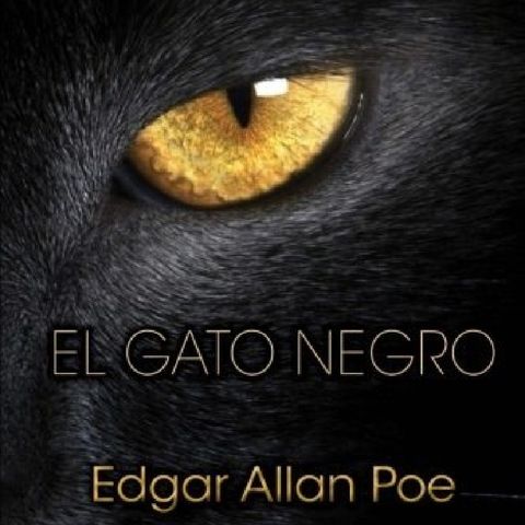 El Gato Negro - Edgar Allan Poe - Terror En Rapel