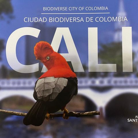 Lanzamiento en la COP16: Libro Cali Biodiversa de Colombia