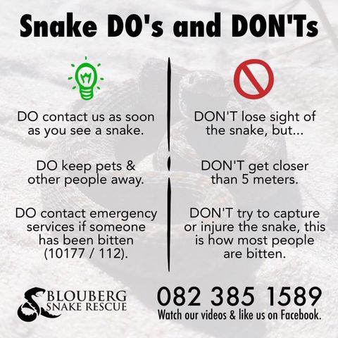 Snake DOs and DON'Ts