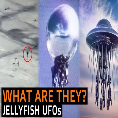 SHOCKING JELLYFISH UFO Presentation with MUFON Director