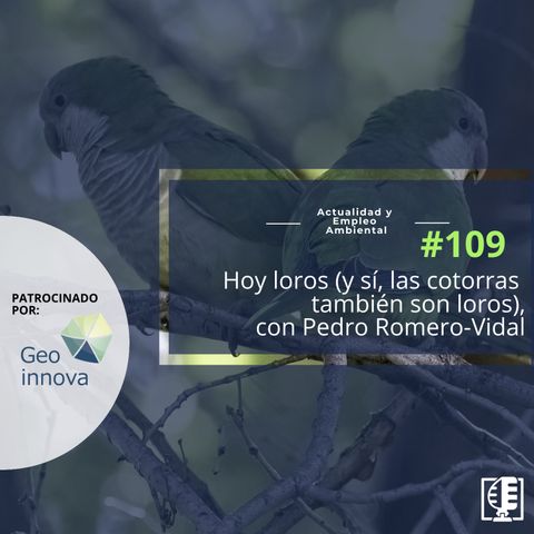 Hoy loros (y sí, las cotorras también son loros), con Pedro Romero-Vidal #109