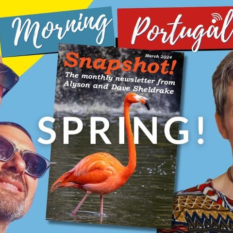 Spring in Portugal! Snapshot Preview & Lisbon Linkup on the Good Morning Portugal! Show