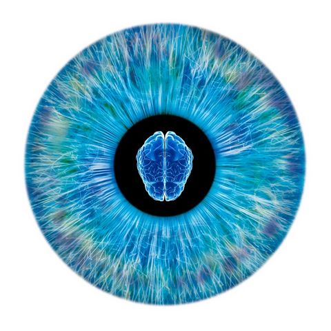 Neurological Tools & Pupil Evaluation