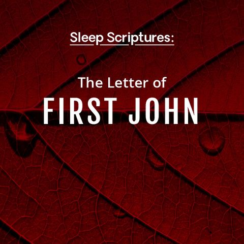 The Letter of First John