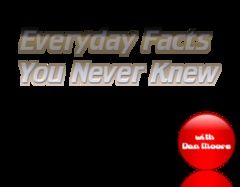 Everyday Facts 11