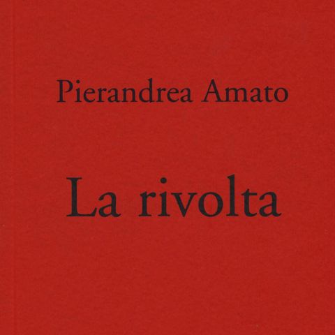 Pierandrea Amato "La rivolta"
