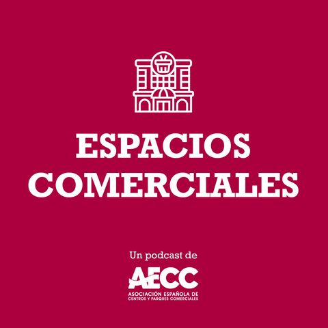 3 - Miguel Pereda, los Centros y Parques Comerciales y su futuro en el contexto del sector inmobiliario