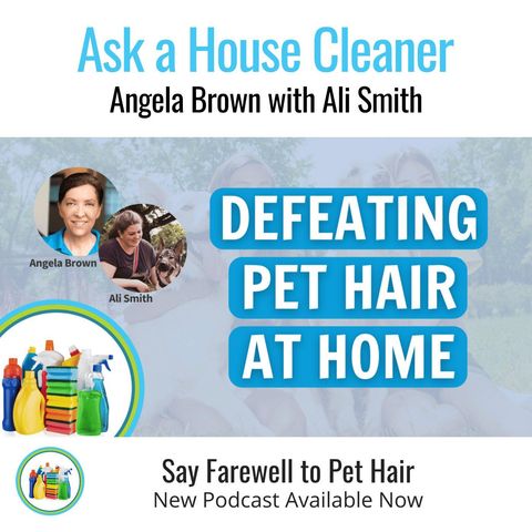 Reclaim Your Home From Pet Hair With Ali Smith