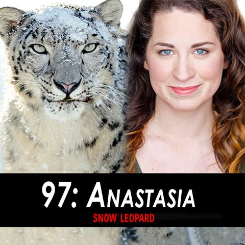 97 - Anastasia the Snow Leopard