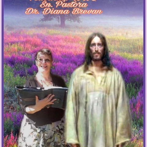 The OverComer By Dr.Diana Brevan