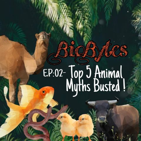 Top 5 Animal Myths Busted !