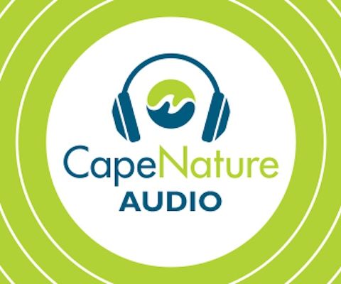 Cape Nature - World Fisheries Day Interview