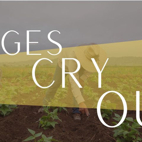 Rev. Page Hines | The Wages Cry Out