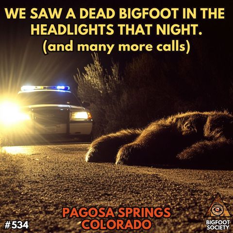 Dead Bigfoot in Colorado! (and other calls)