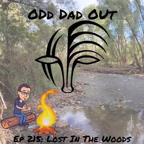 Lost In The Woods: ODO 215