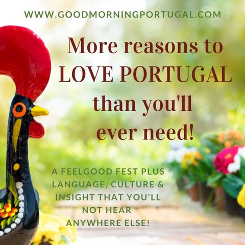 Portugal news, weather and SO MANY reasons to love Portugal!