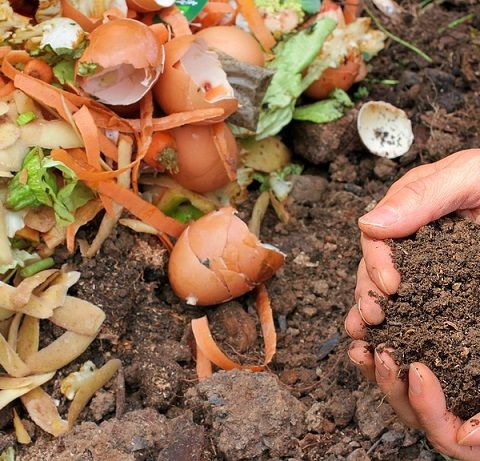 Compost USA 2 miliardi di finanziamenti all'orizzonte